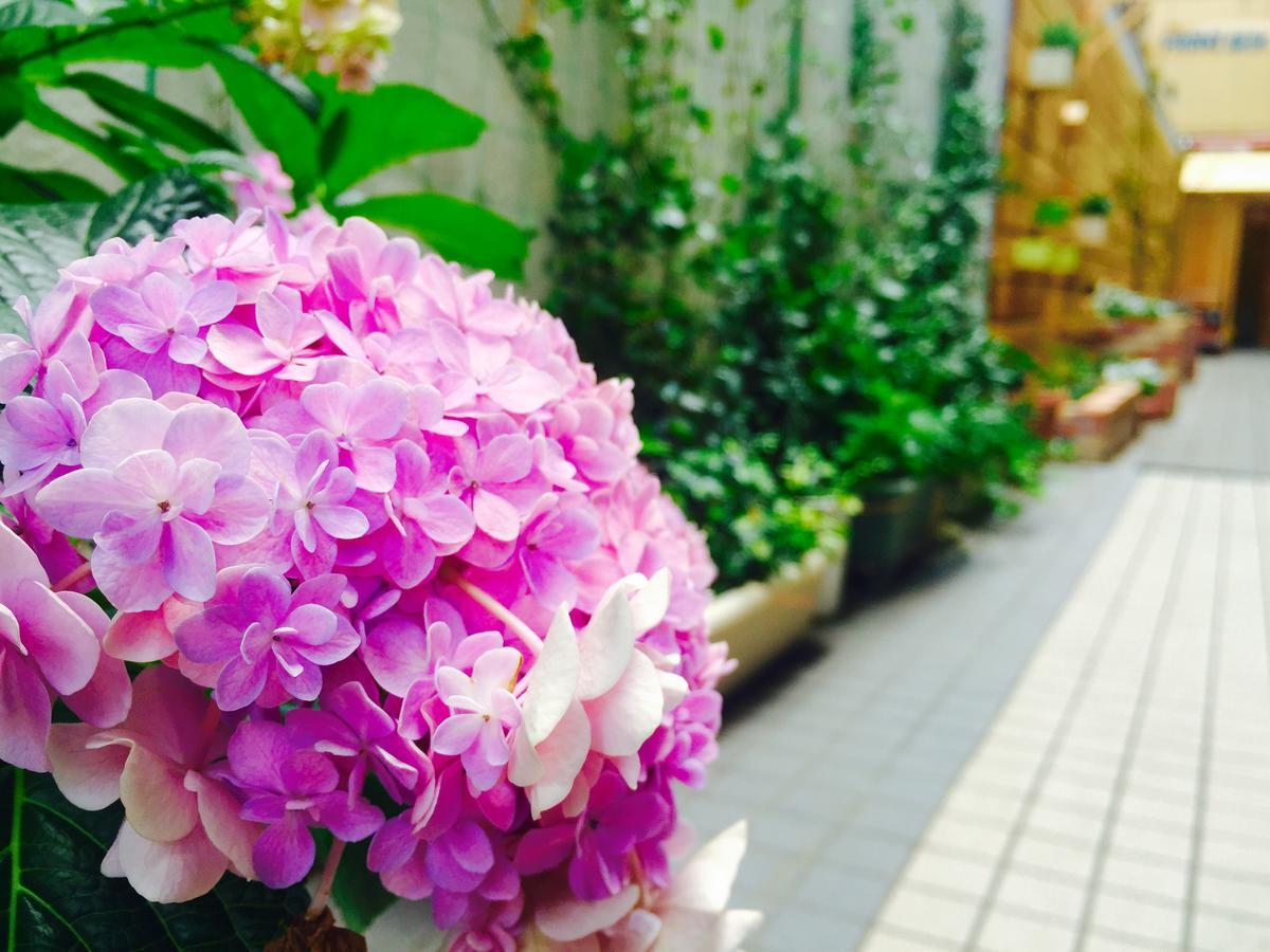 Sophiearth Iii Guest house Tokyo