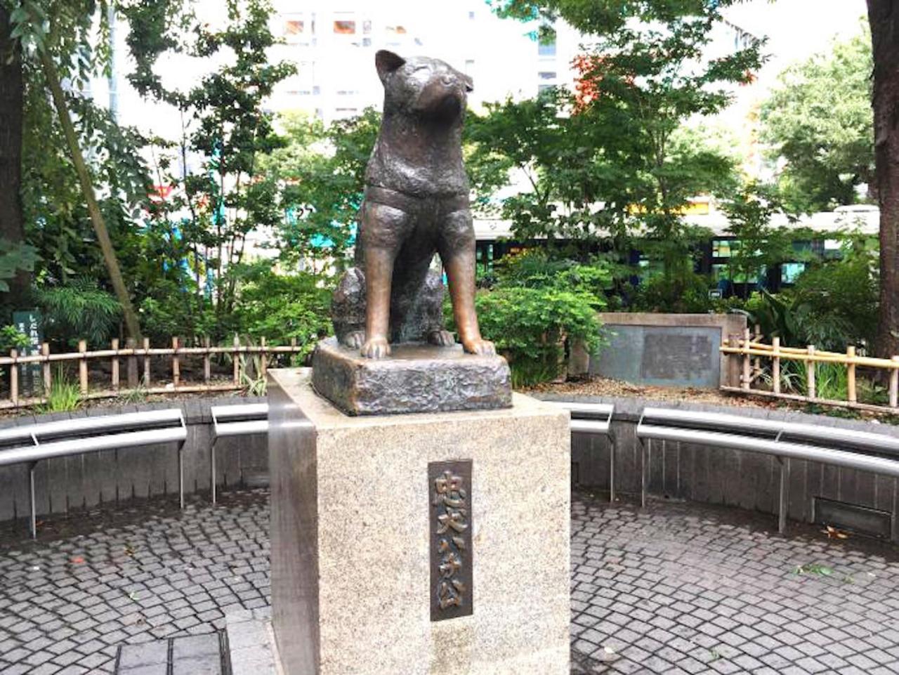 Shibuya Anon #a202 Tokyo