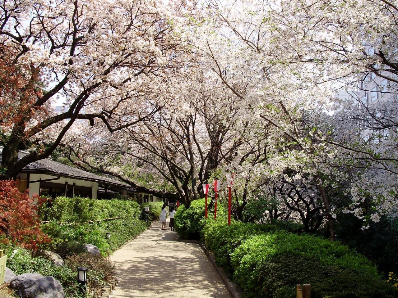 Grand Shin Takanawa