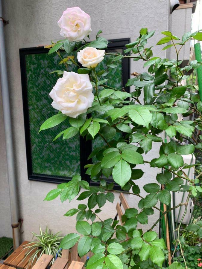 Kanae House Holiday home