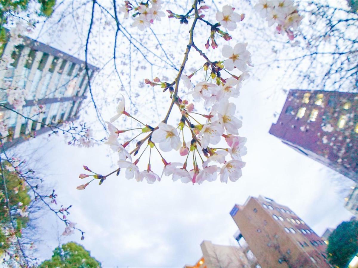 Hotel Henn Na Ginza 3*