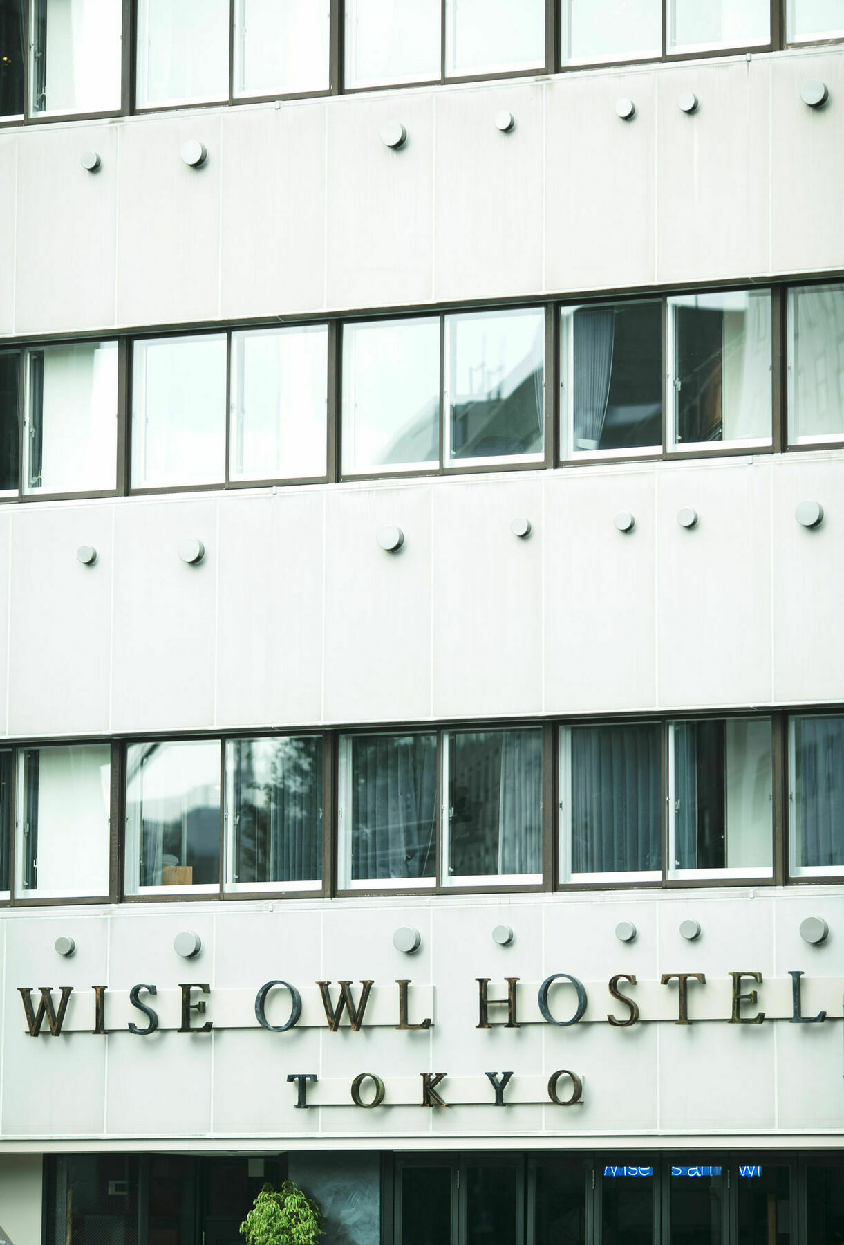 Wise Owl *
