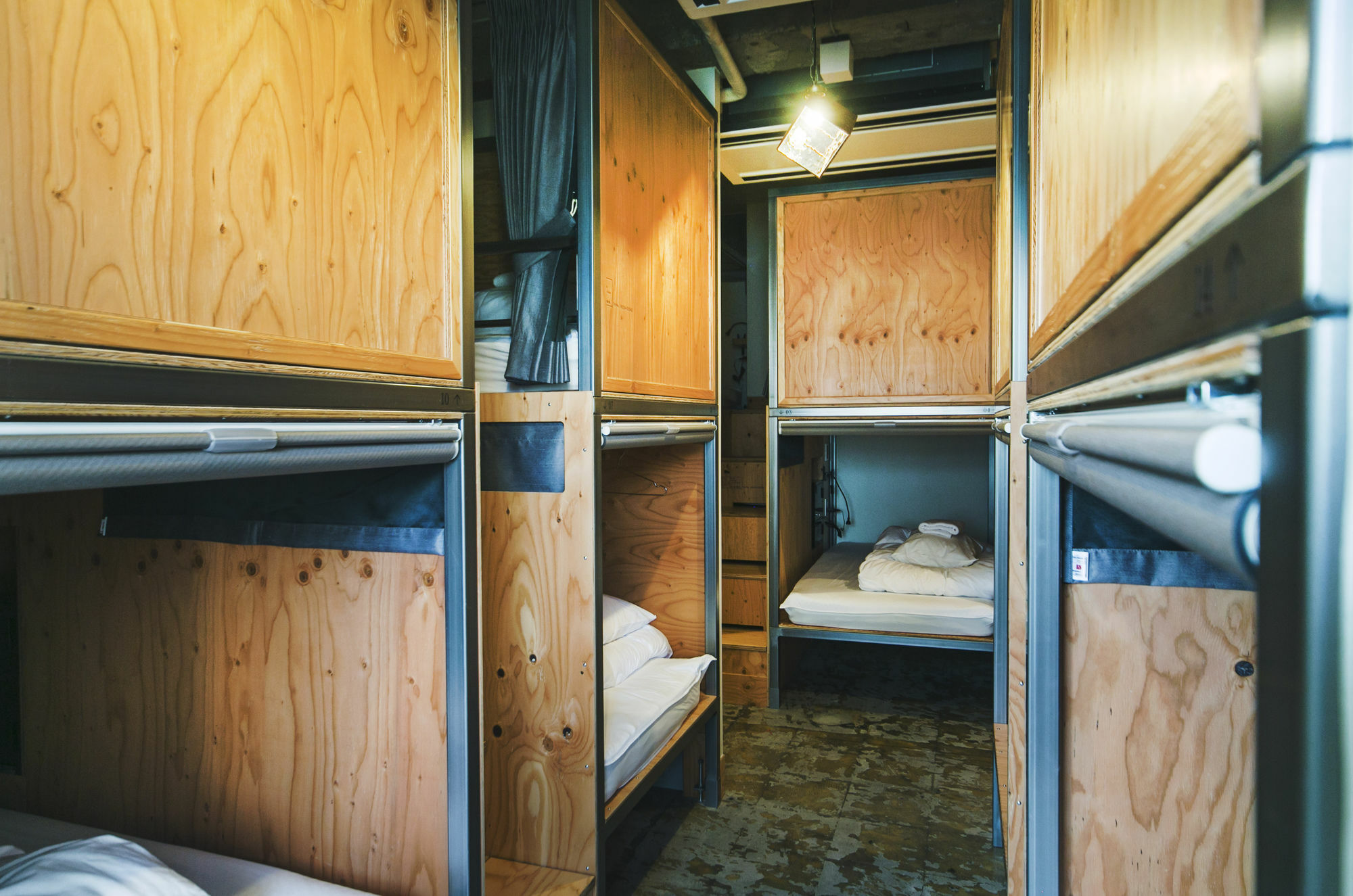 Hostel Wise Owl