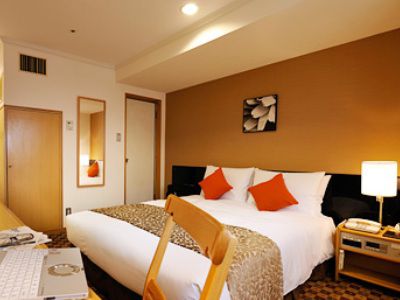 Hotel Ginza Nikko Tokyo