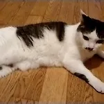 レンタルルーム目黒