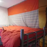 Girls Only Share House Tama