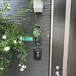 バラ苑目黒 目黒駅徒歩7分　恵比寿徒歩13分　静かな高級住宅　設備充実　花見名所