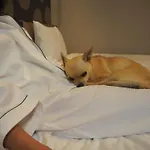 Ici Hotel Asakusabashi