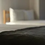新宿歌舞伎町/コリアンタウン/501