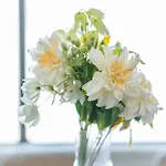 Cozy Home Near Imperial Palace & Budokan In Central Kudanminami Dloe