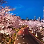 Mimaru Tokyo Akasaka