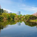 新宿区神楽坂近く大空间