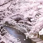 Komorebi 101 - Vacation Stay 18385
