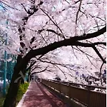 Komorebi 101 - Vacation Stay 18385