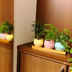 Casa Bianca Shinjuku