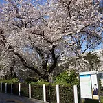 Ikeda House Doraemon\'S Home