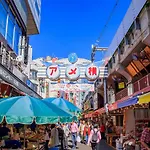 Sotetsu Fresa Inn Ueno-Okachimachi