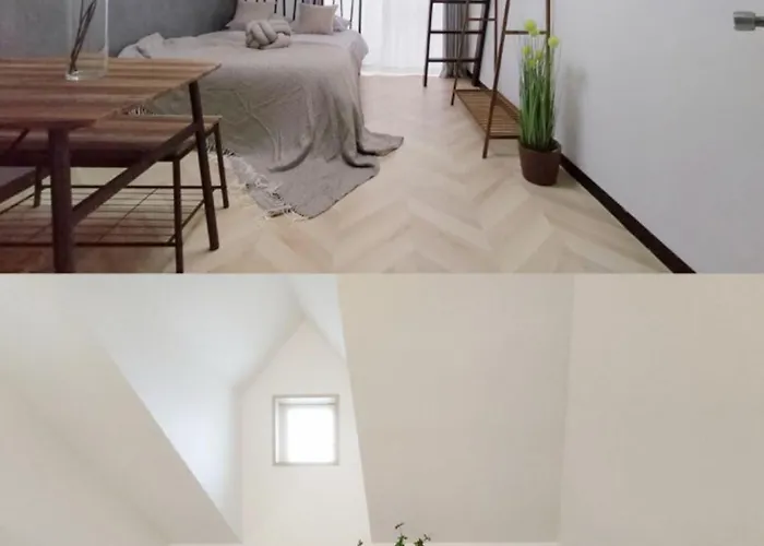 202 Shinjuku Center- 10Mins From Shinjuku St A- 2Mins Okubo- Max6P-2Room-涉谷六本木银座直达