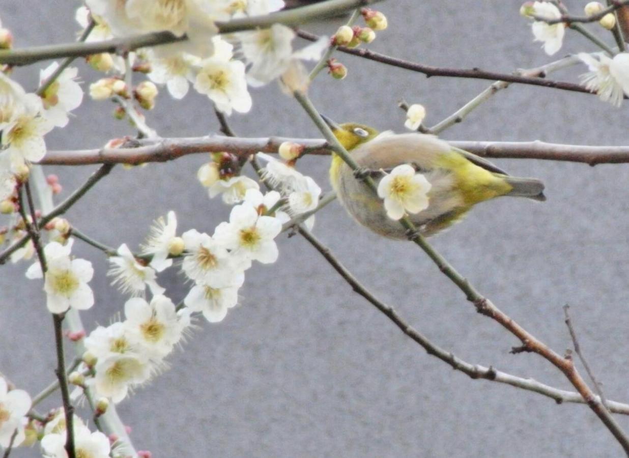 恵比寿アコースティックハウス内装が素晴らしい *