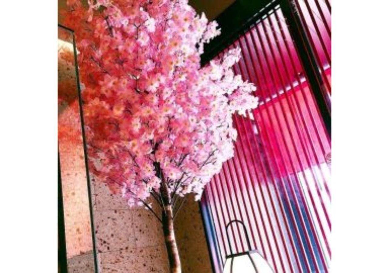 Sakura Sky - Vacation 18432v Hotel