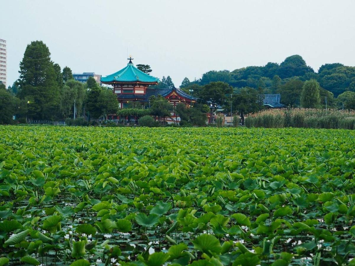Guest house Tora Ueno 寅ホテル 上野 A *
