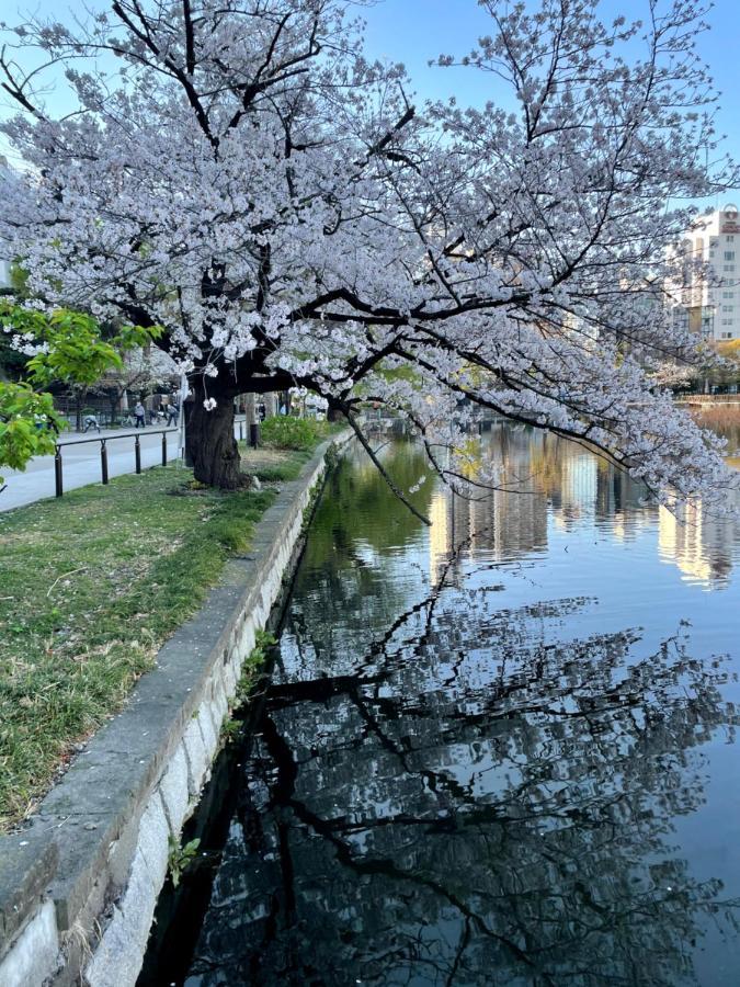 Ueno 3*