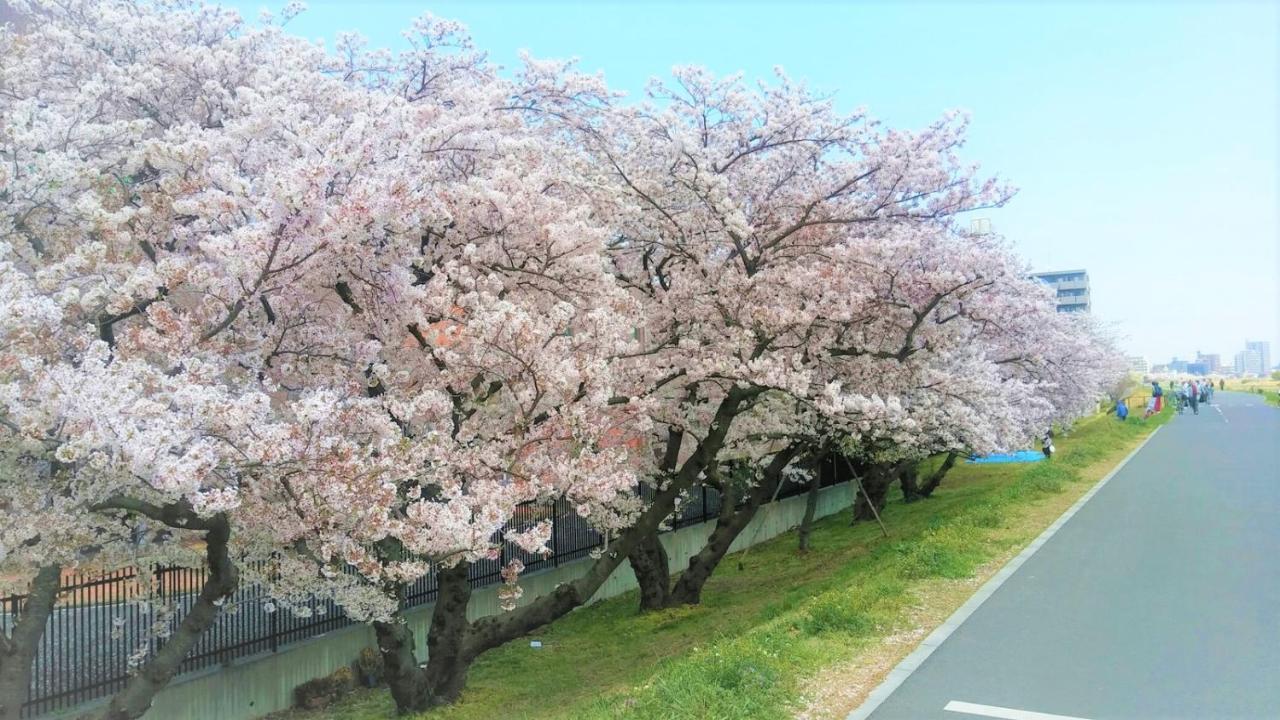 足跡 Ashiato *
