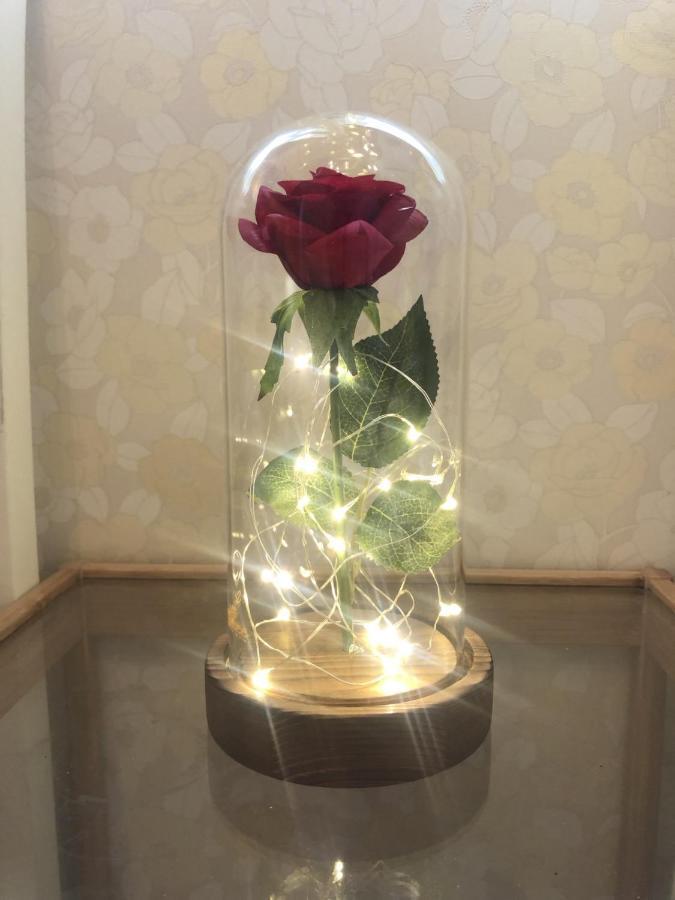 大人気 Disneylandまですぐ ディズニーテーマの駐車場付一軒家 Apartment