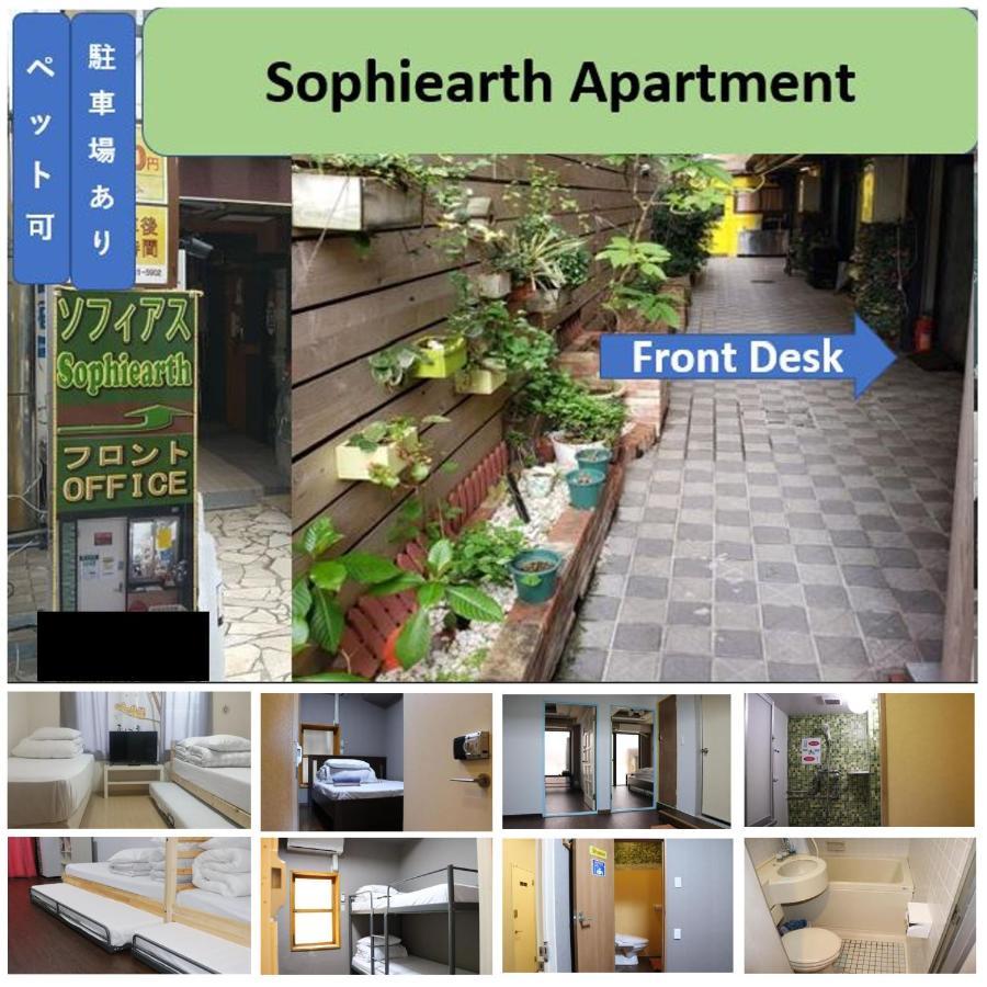 Sophiearth *