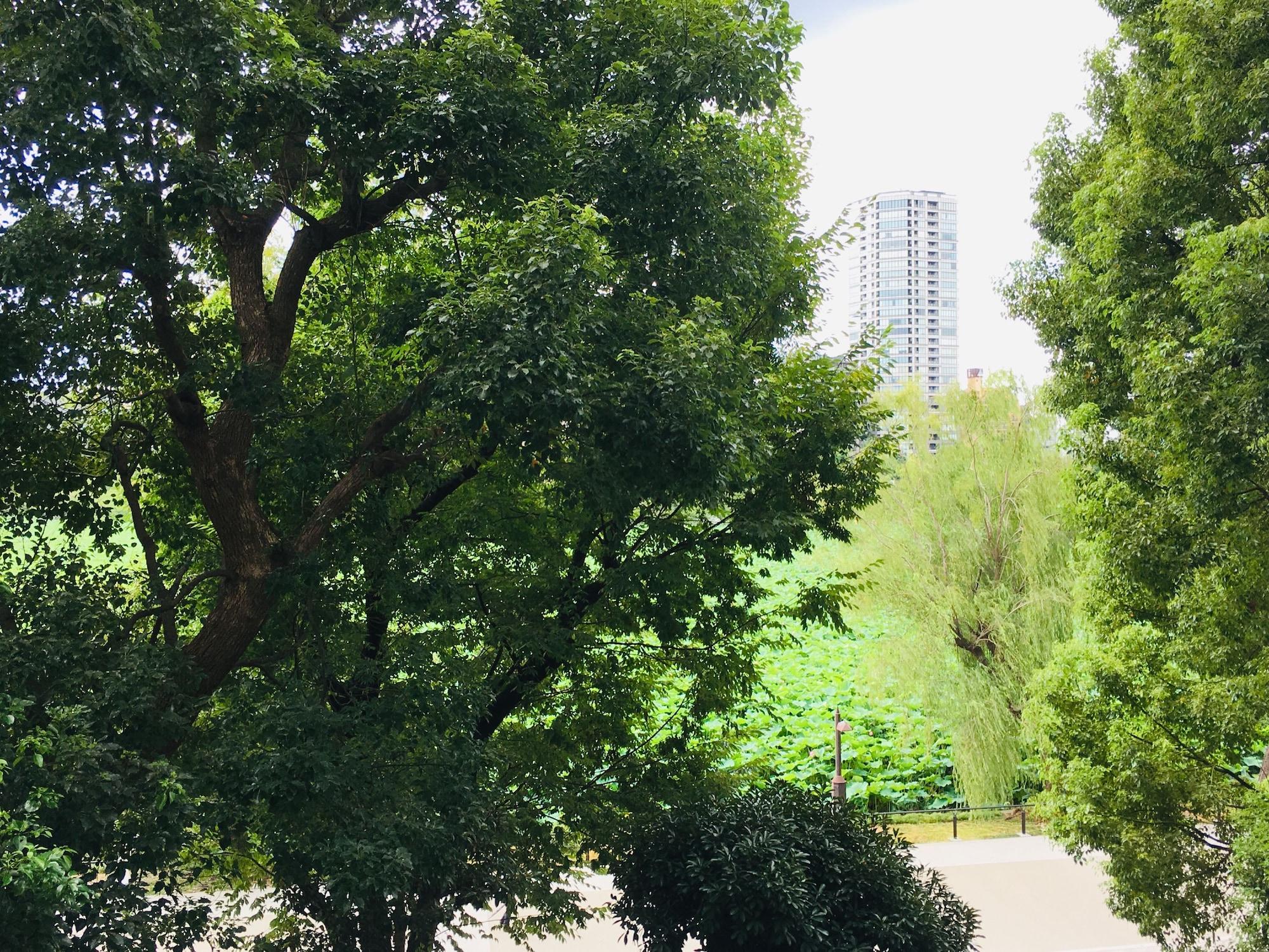 Apa Keisei Ueno Ekimae Hotel 3*