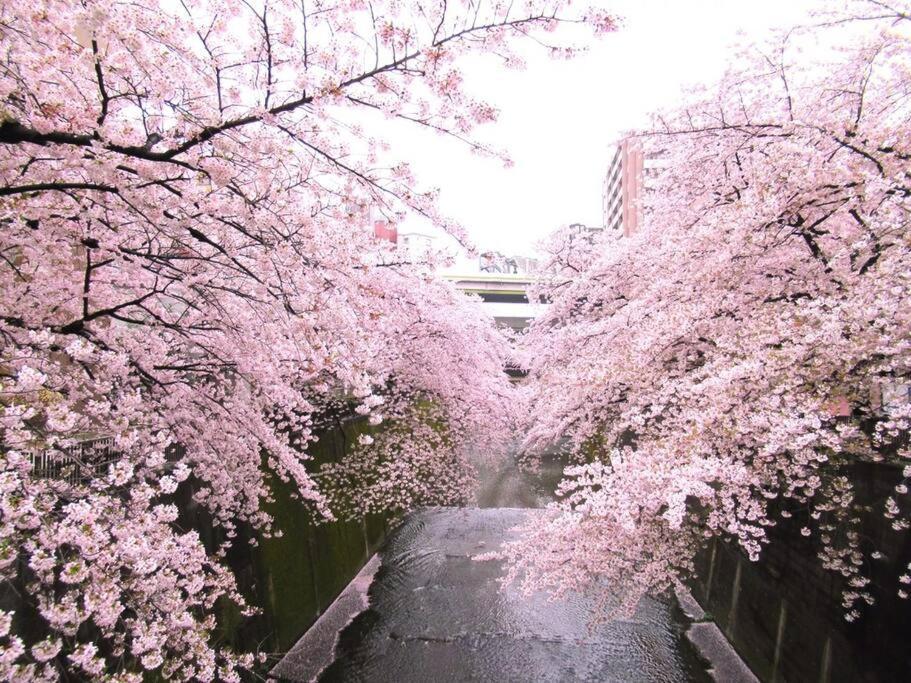 Itabashi Cask Village Apartment *