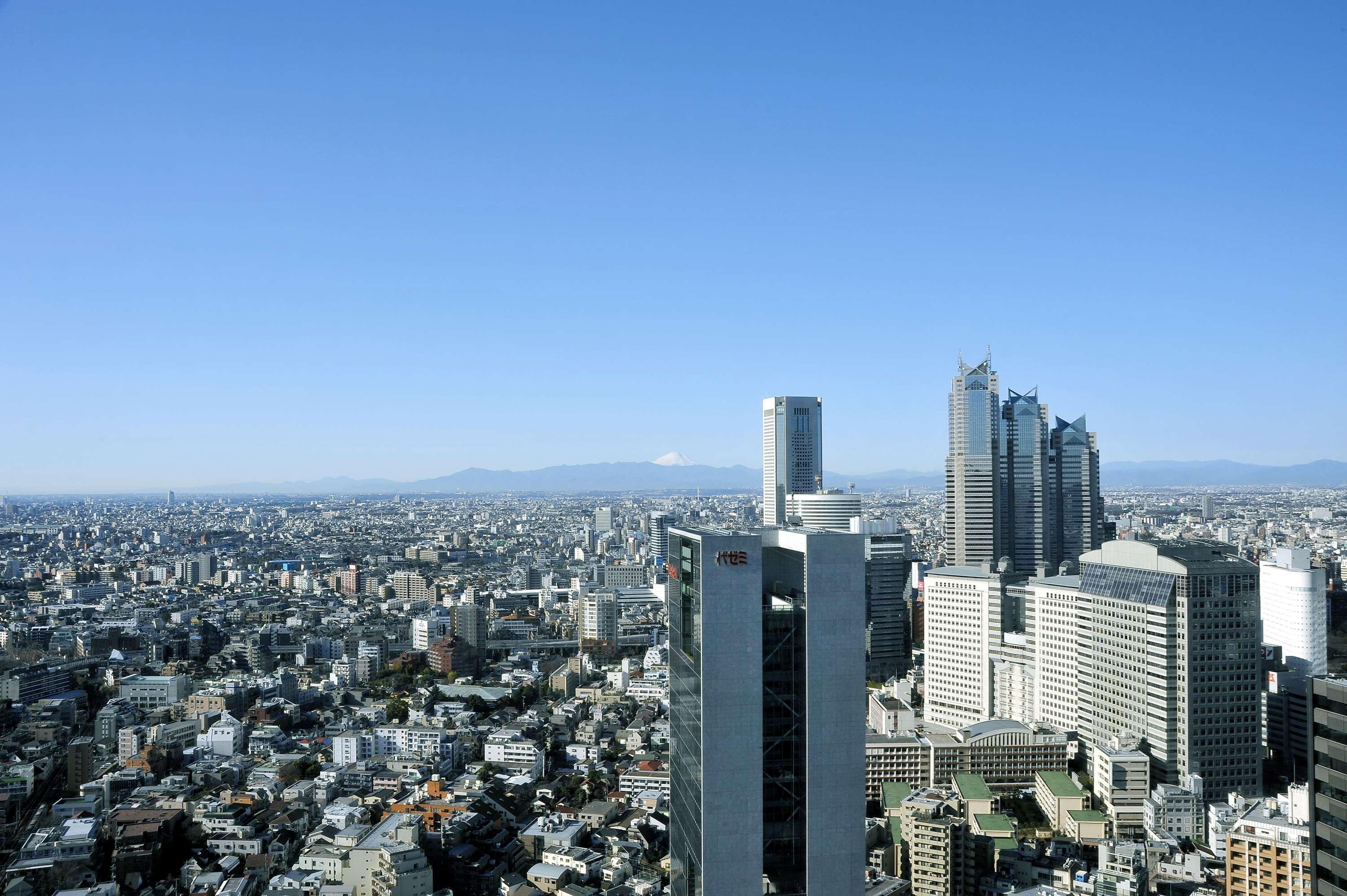 Odakyu Century Southern Tower Hotel 4*