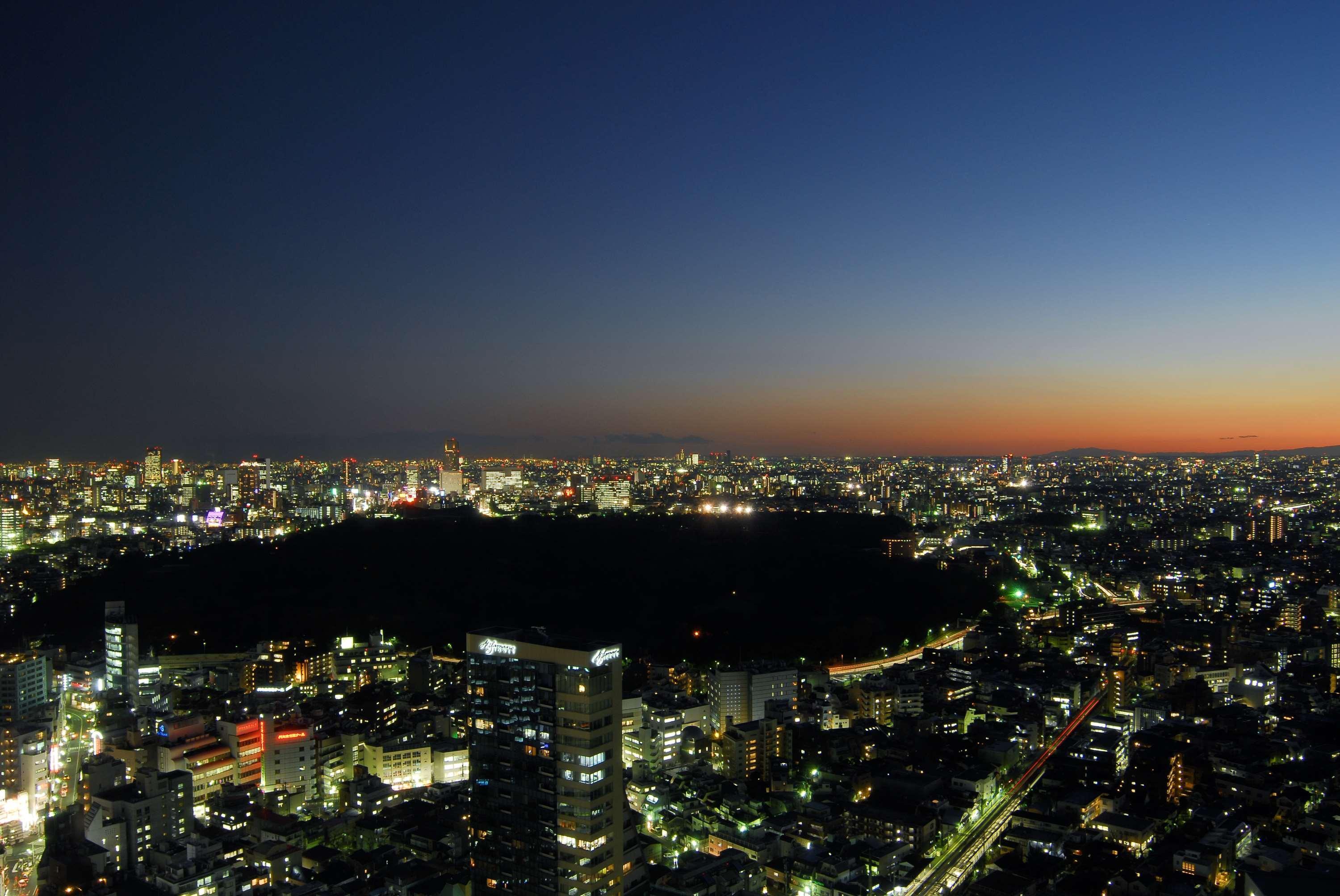 Odakyu Century Southern Tower 4*