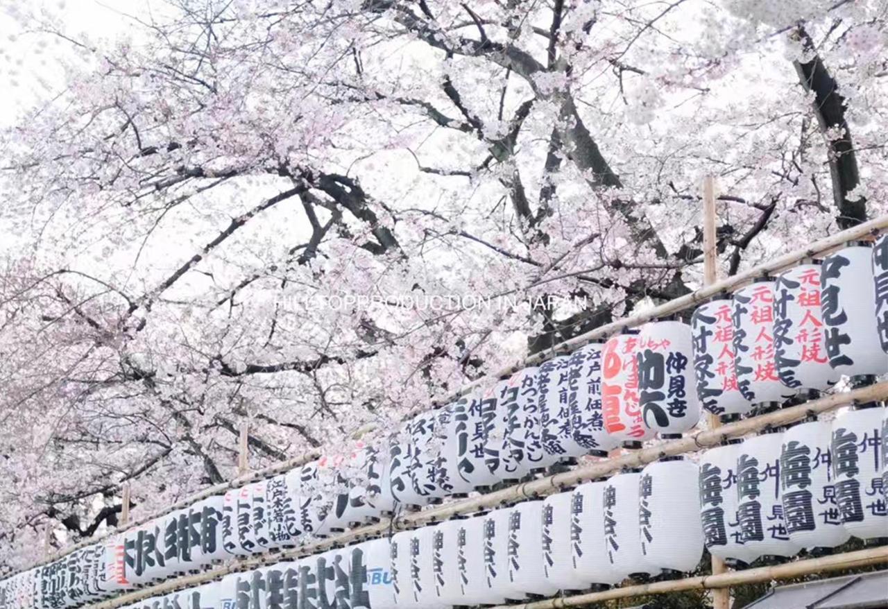 Ustay Kitakoiwa