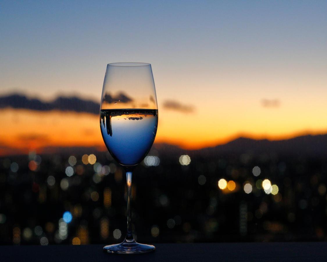 Odakyu Century Southern Tower Hotel 4*