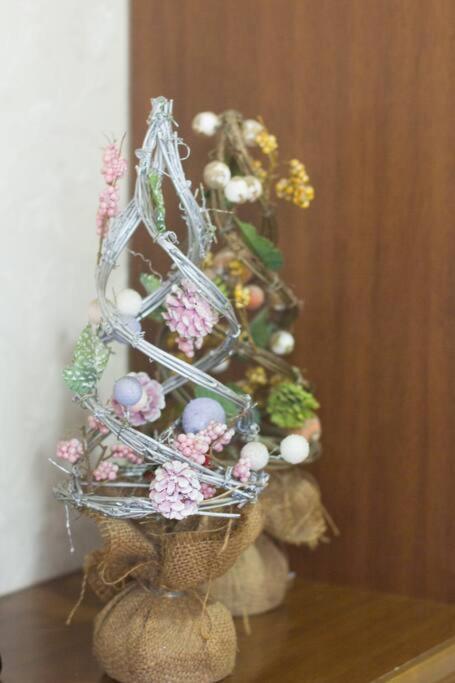 Mochida's Homestay *