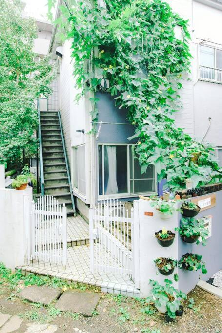 *exquisite Newly Renovated Rom In Very Deeptokyo Apartment