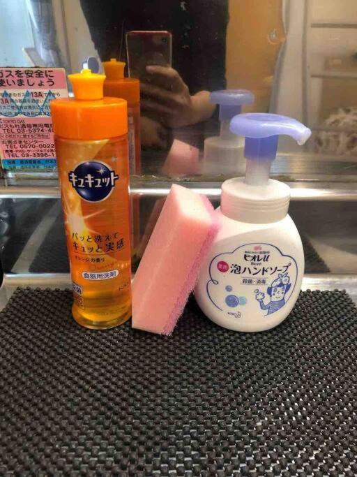 *exquisite Newly Renovated Rom In Very Deeptokyo Tokyo