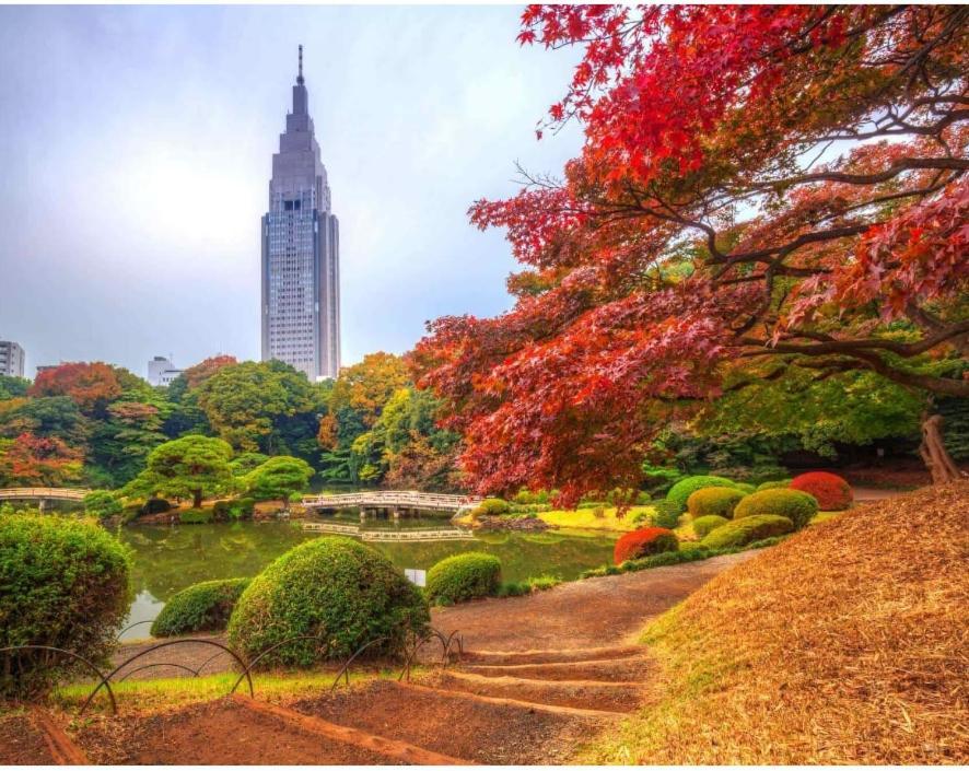 B23新宿商圈 车站徒步5分-shinjuku Area Max 5p Apartment