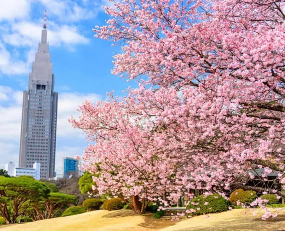 B23新宿商圈 车站徒步5分-shinjuku Area Max 5p Apartment *
