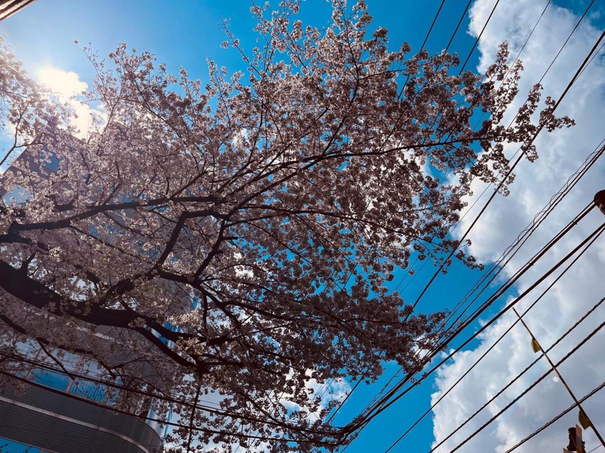Guest house 池袋apila Tokyo