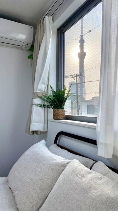 Skytree Cozy House