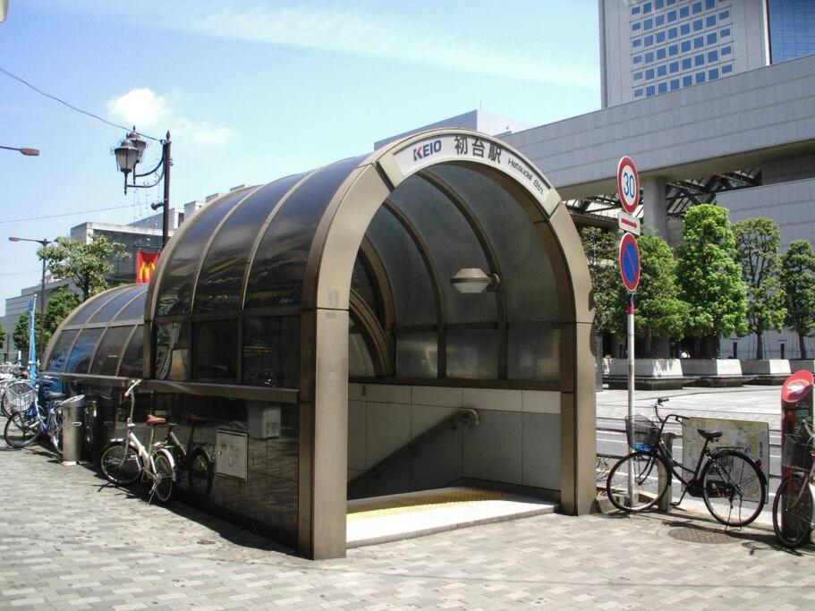 Japanese Tradition Evergreen * Tokyo