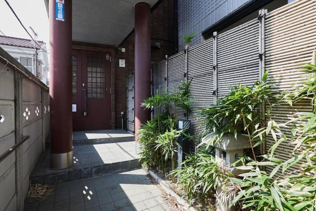 Japanese Tradition Evergreen * Tokyo