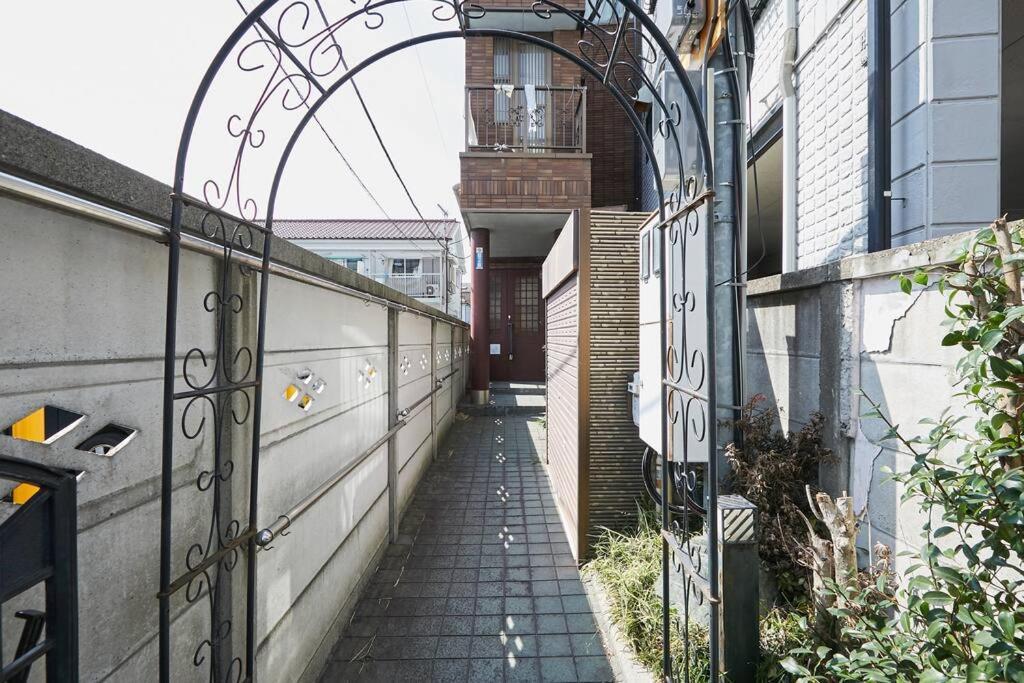 Japanese Tradition Evergreen Tokyo