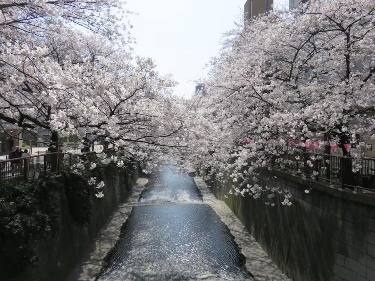 Apartment 10 Minutes Direct To Shibuya Crossing! Heart Of Tokyo! Mishuku *
