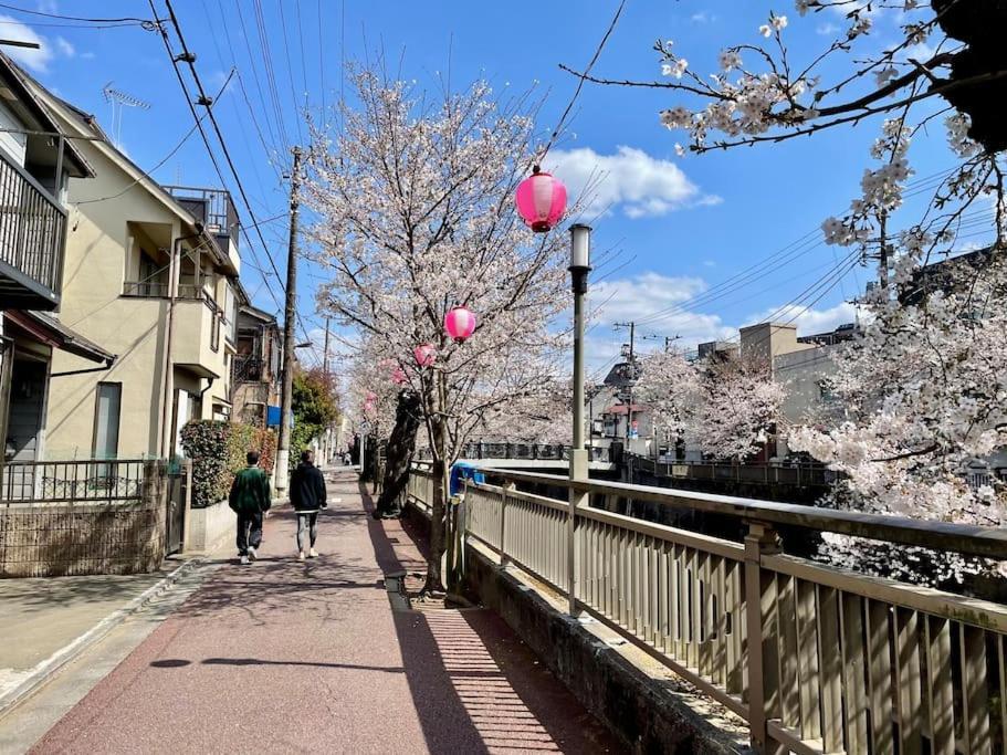 Apartment 都内桜名所寝室から桜観賞リノベーリョン一軒家池袋エリア中板橋駅