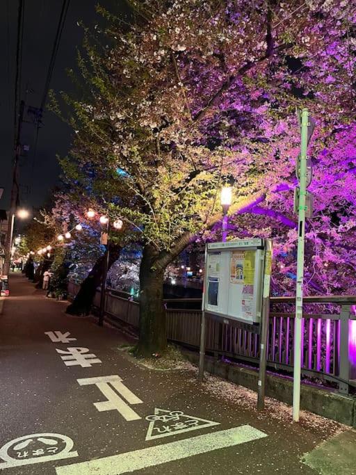 都内桜名所寝室から桜観賞リノベーリョン一軒家池袋エリア中板橋駅 Apartment *