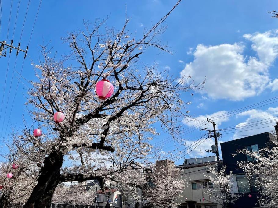 都内桜名所寝室から桜観賞リノベーリョン一軒家池袋エリア中板橋駅 Apartment
