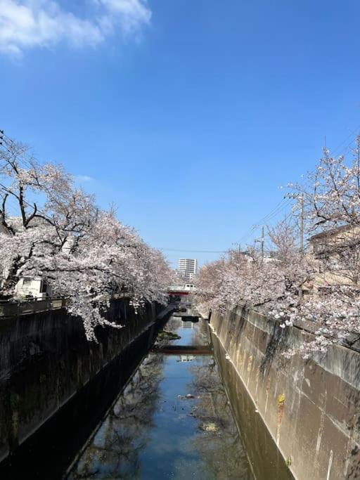 都内桜名所寝室から桜観賞リノベーリョン一軒家池袋エリア中板橋駅 * Tokyo